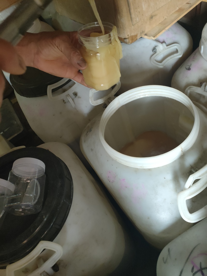 标题：蜂蜜，纯野生蜂蜜，冬蜜鸭脚木蜜，量大从优