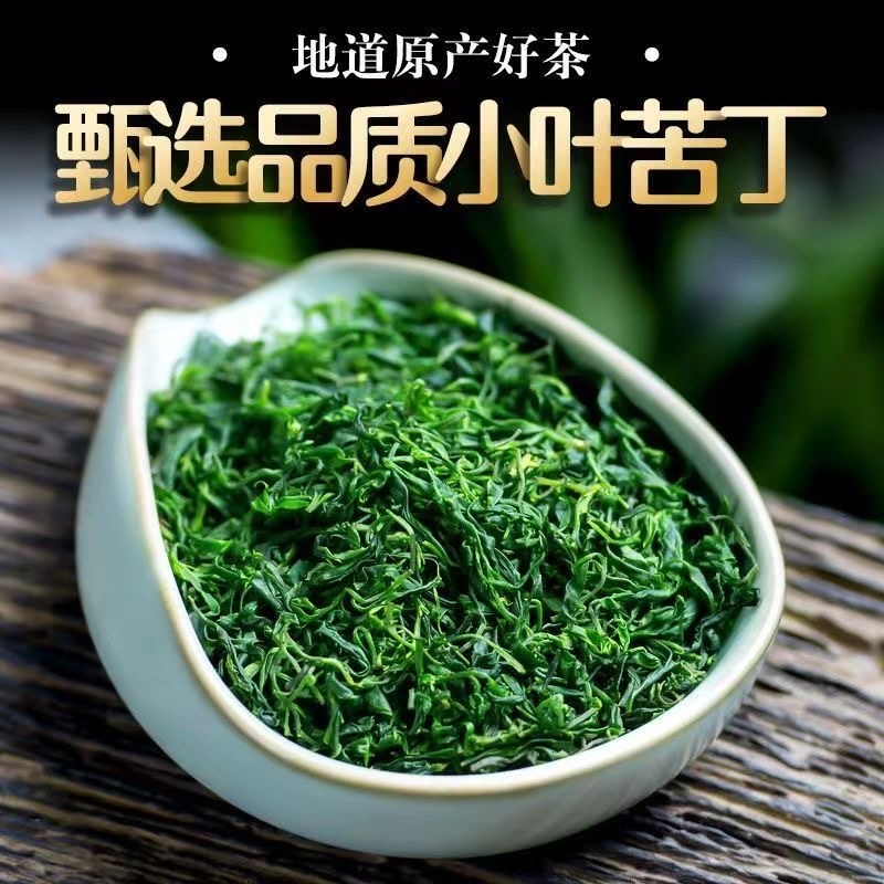 小叶苦丁中药材泡水品质高嫩芽采摘