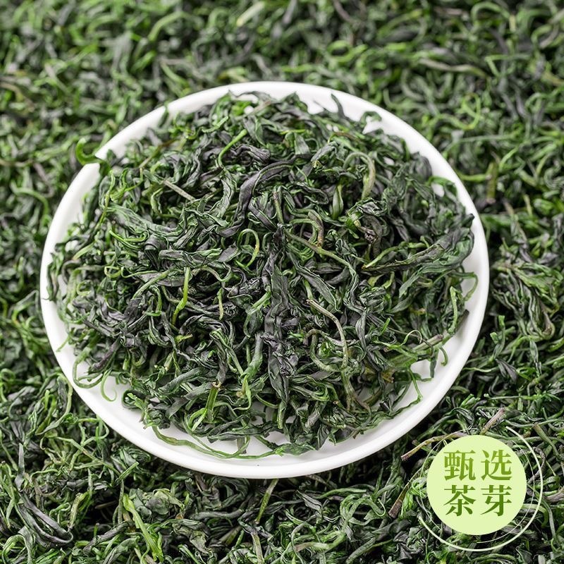 小叶苦丁中药材泡水品质高嫩芽采摘