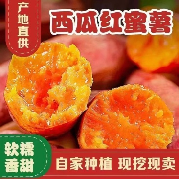 西瓜红大量上市有货，精品货源，产地直供，可与电商合作