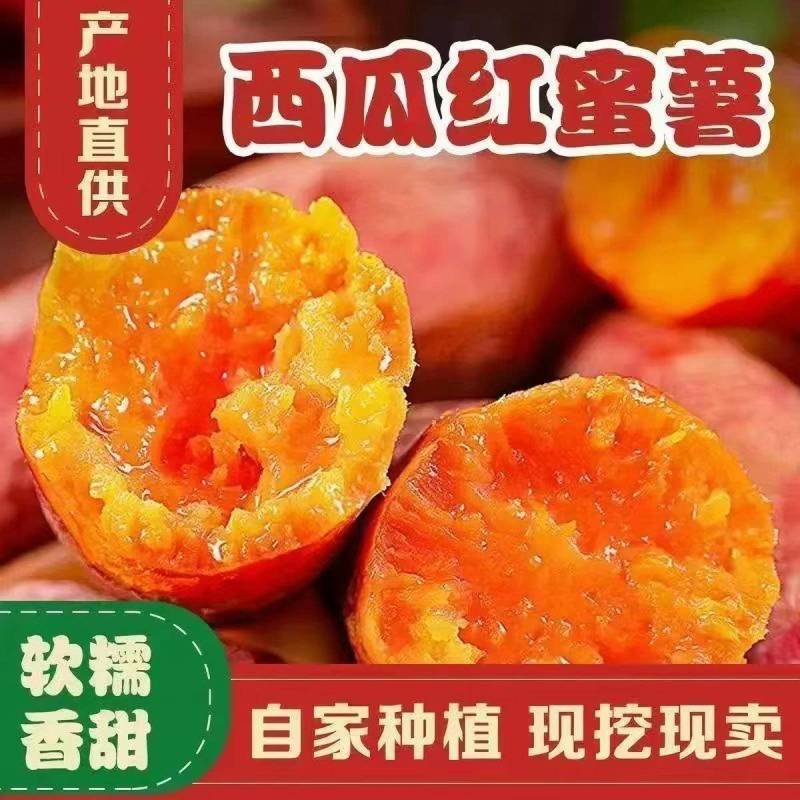 西瓜红大量上市有货，精品货源，产地直供，可与电商合作