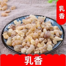 乳香中药材批发正品乳香片乳头香新鲜马尾香天泽香乳香珠