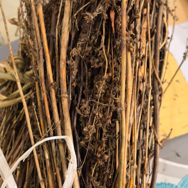 藏茵陈新货藏茵藏茵干货初级农产品批发零售