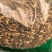 藏茵陈新货藏茵藏茵干货初级农产品批发零售