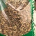 藏茵陈新货藏茵藏茵干货初级农产品批发零售
