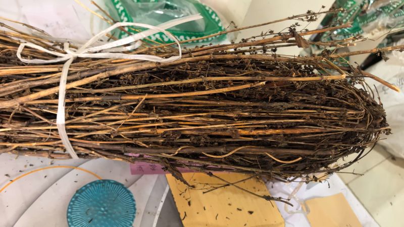 藏茵陈新货藏茵藏茵干货初级农产品批发零售
