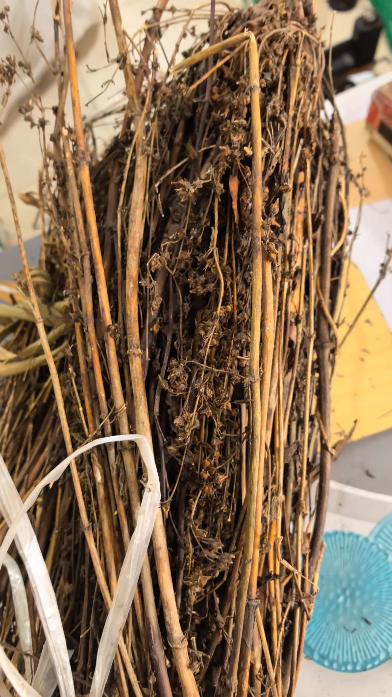 藏茵陈新货藏茵藏茵干货初级农产品批发零售