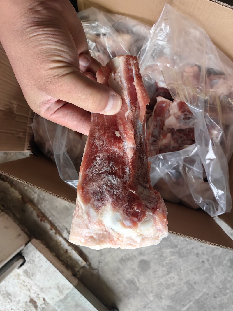 多肉S骨