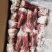 多肉S骨