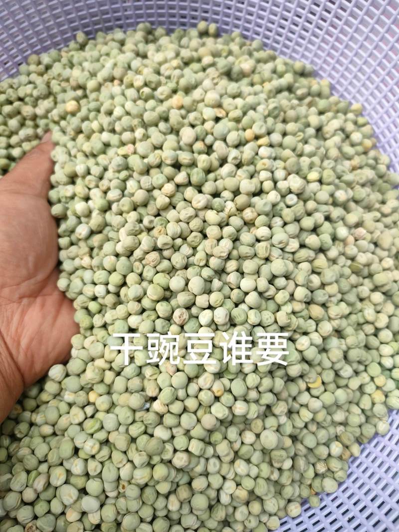 豌豆，