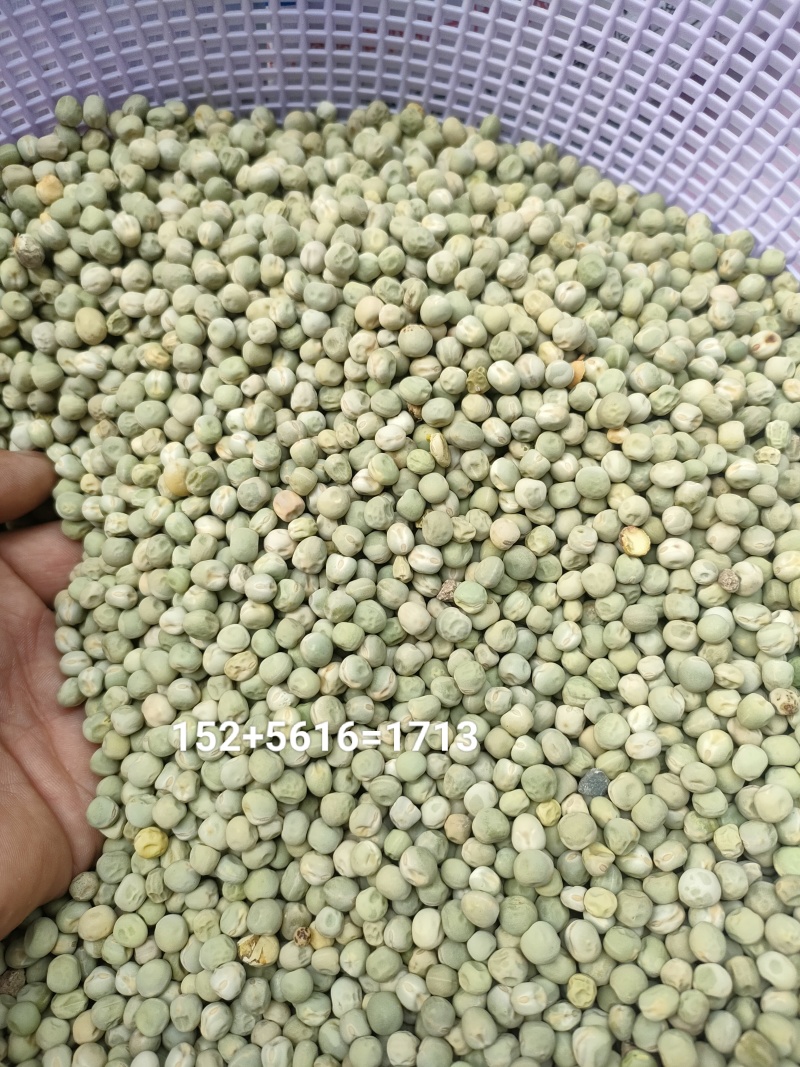豌豆，
