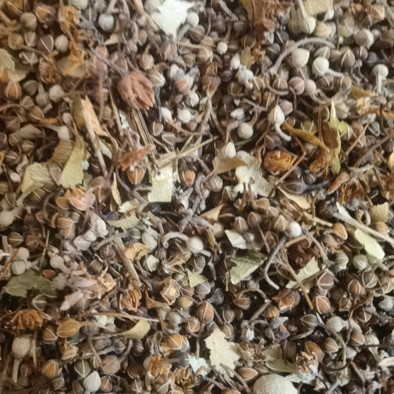 中药材菩提籽菩提花菩提子