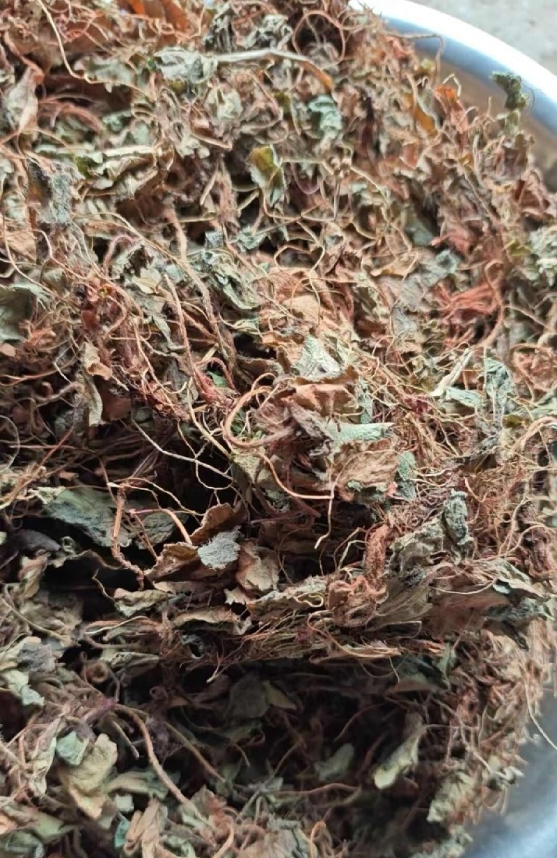 虎耳草中药材虎儿草姬虎耳草药用叶干货高山老虎草新鲜无