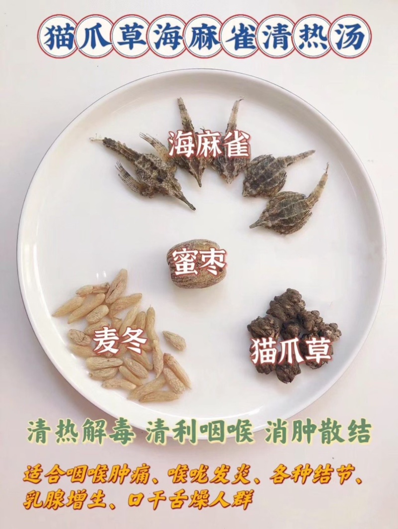 海燕子干货海麻雀海鸟海燕圆身新鲜中药材煲汤泡酒料滋补品
