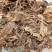 虎耳草中药材虎儿草姬虎耳草药用叶干货高山老虎草新鲜无