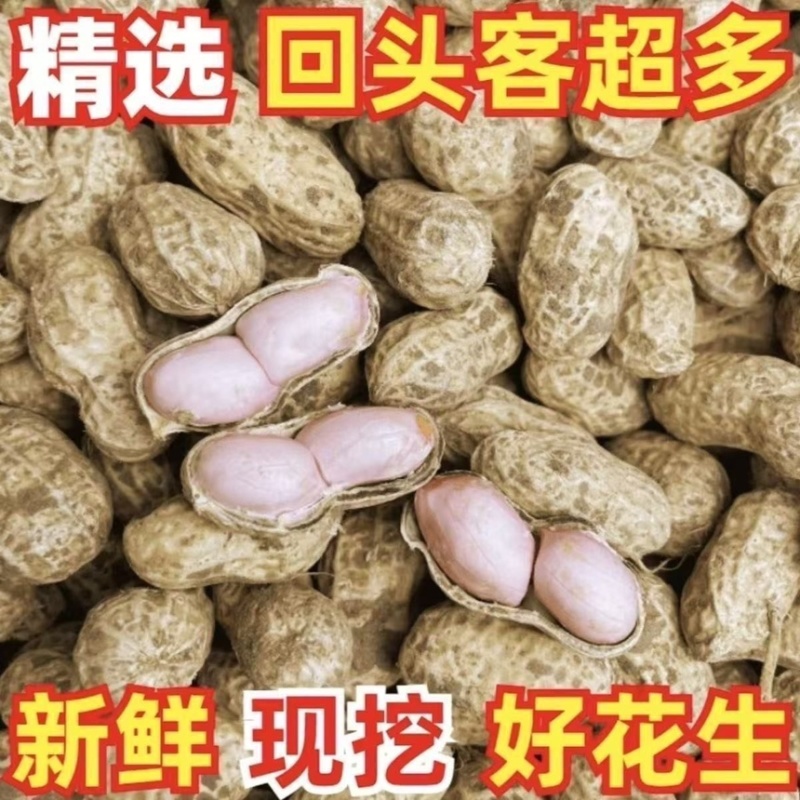 新鲜花生，白沙，四粒红，供各大市场电商加工厂