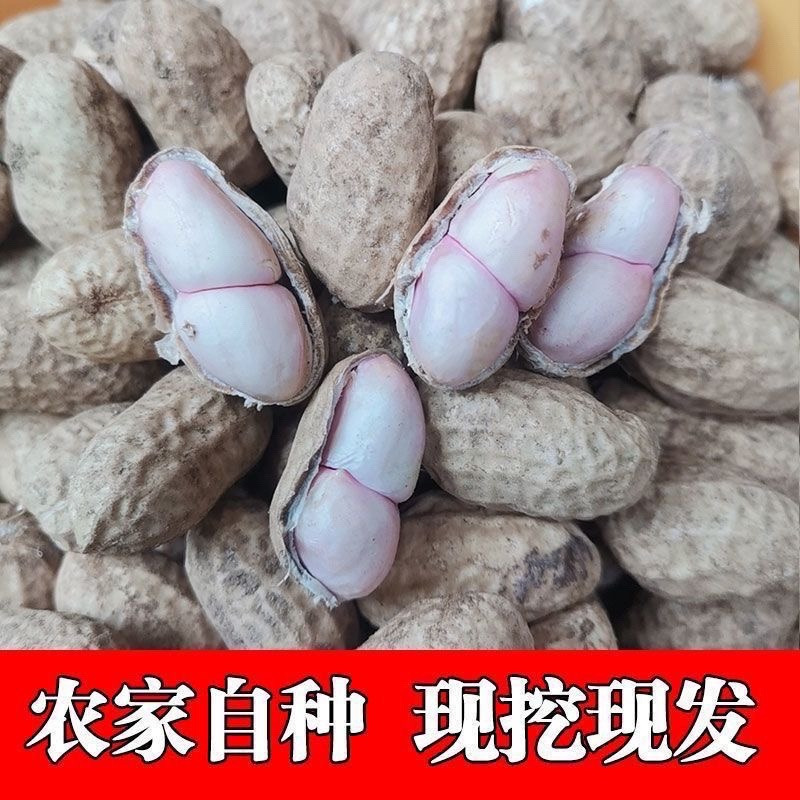 新鲜花生，白沙，四粒红，供各大市场电商加工厂