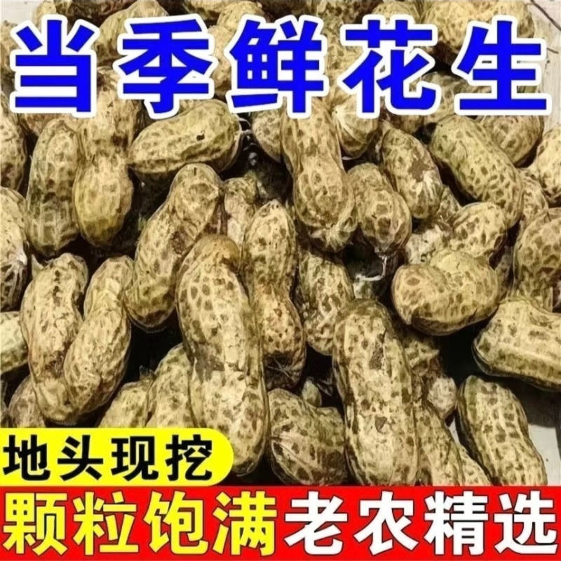 新鲜花生，白沙，四粒红，供各大市场电商加工厂