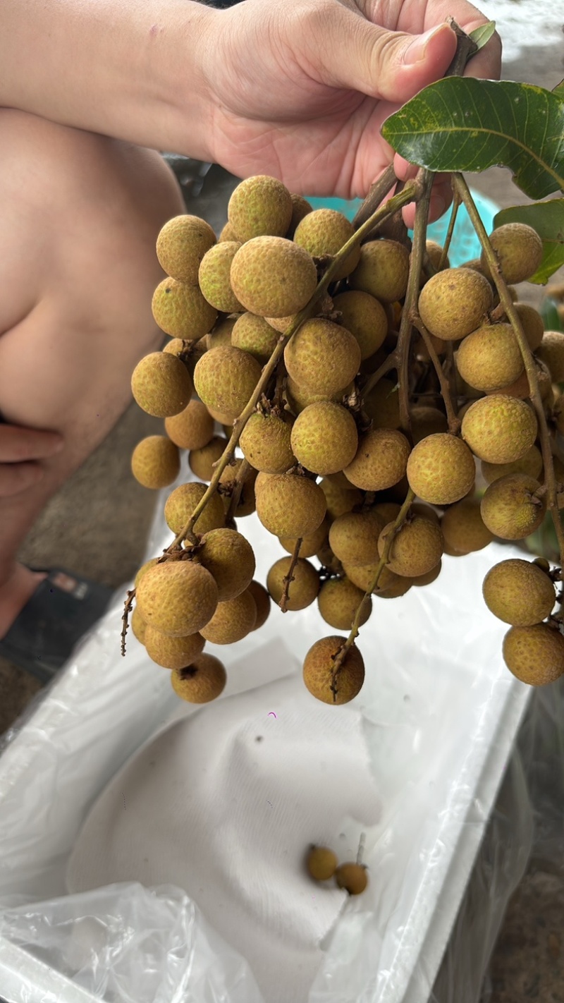 经济又实惠