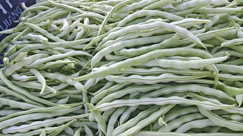 豆角