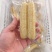 西双版纳拇指玉米