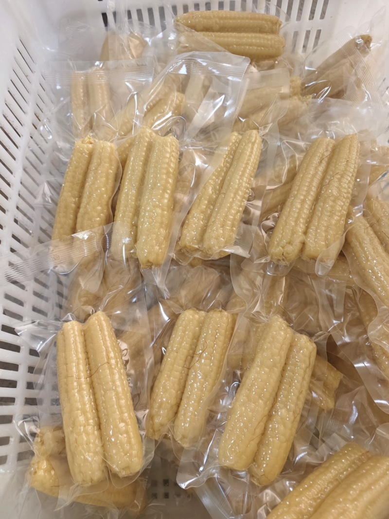 西双版纳拇指玉米