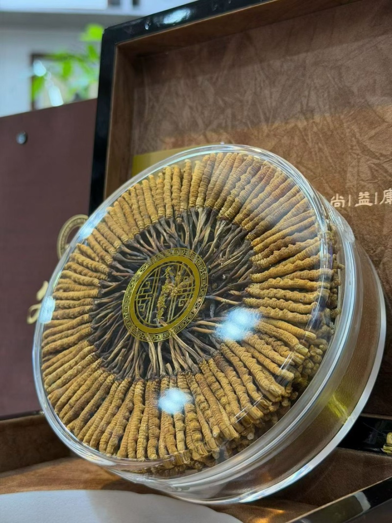 冬虫夏草