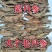 斜切片紫丹参瓜子柳叶片型正宗发汗无硫丹参