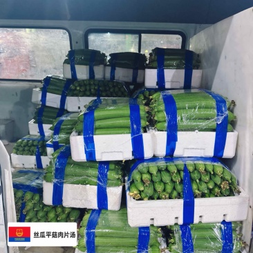 常州油皮香丝瓜