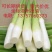 精品优质茭白，各种品类，全国发货，价格美丽