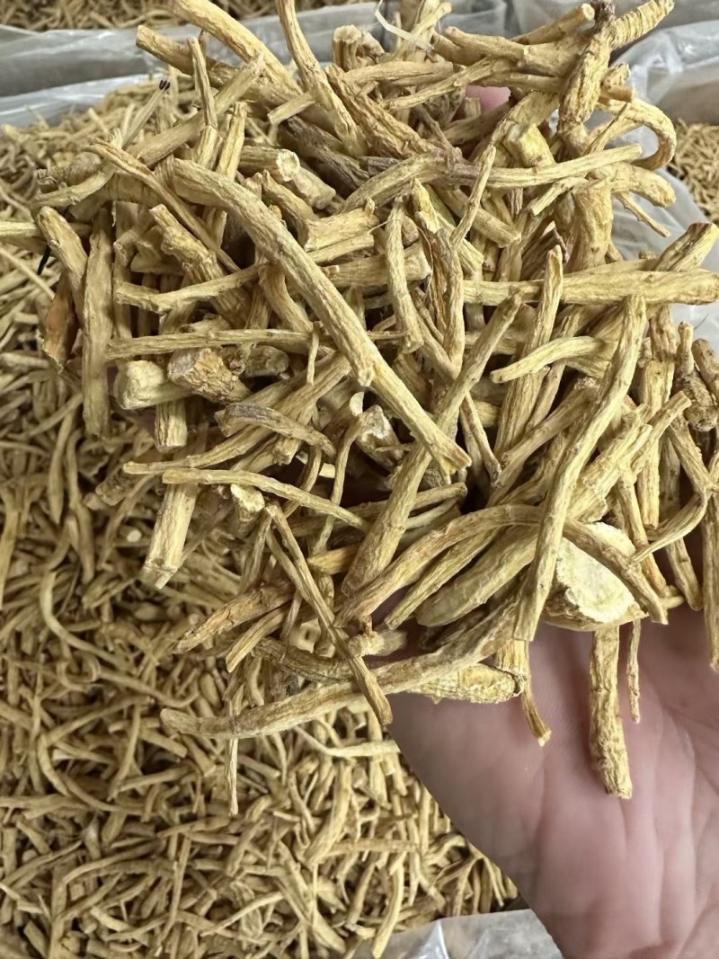 加拿大西洋参，粒节参须，广州实体批发，规格价格请看详情页