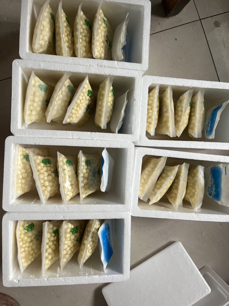苏州鸡头米要上市啦