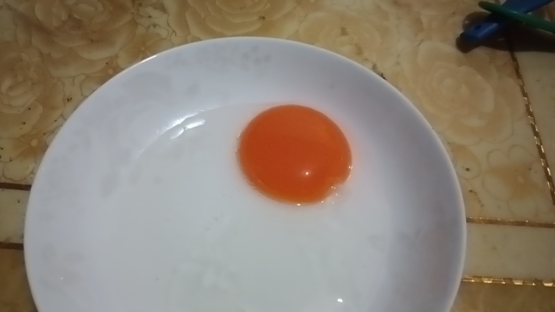 新鲜土鹅蛋，纯母土鹅蛋