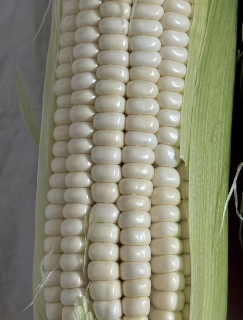 黏玉米
