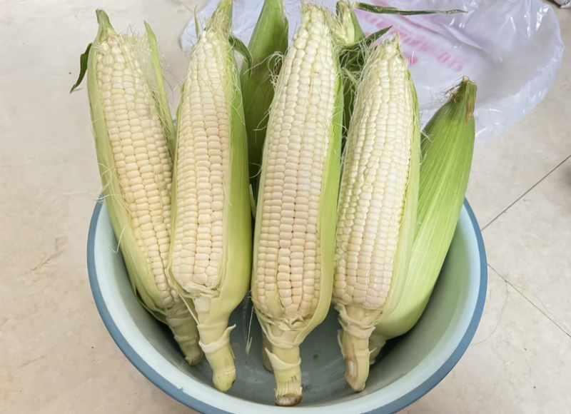 黏玉米