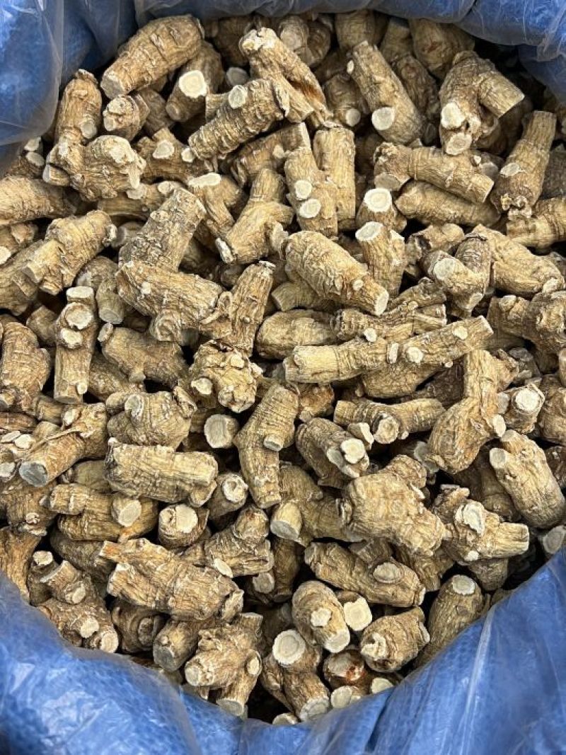 仿美种加拿大西洋参，圆粒，广州实体批发规格价格请看详情