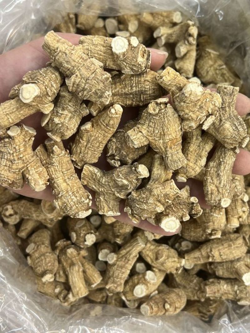 仿美种加拿大西洋参，圆粒，广州实体批发规格价格请看详情