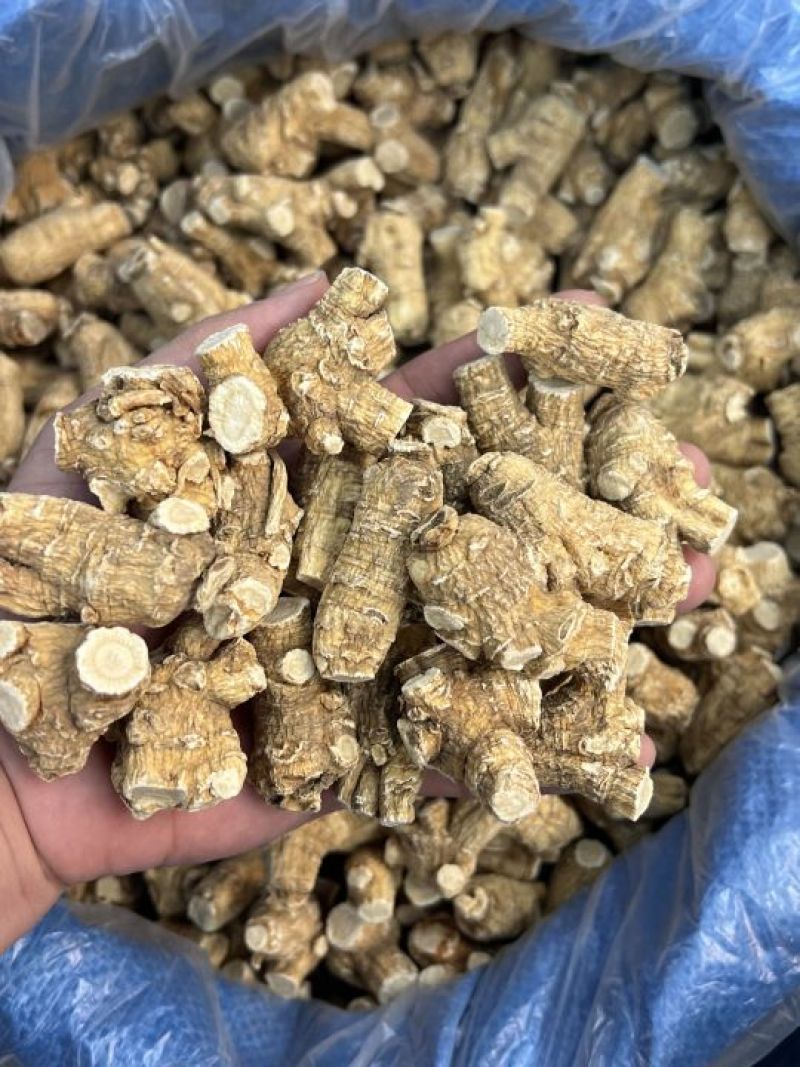 仿美种加拿大西洋参，圆粒，广州实体批发规格价格请看详情