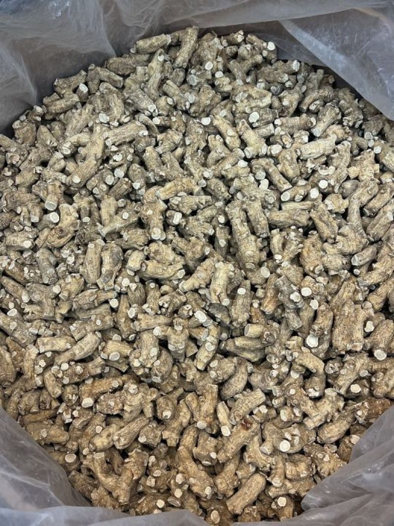 仿美种加拿大西洋参，圆粒，广州实体批发规格价格请看详情
