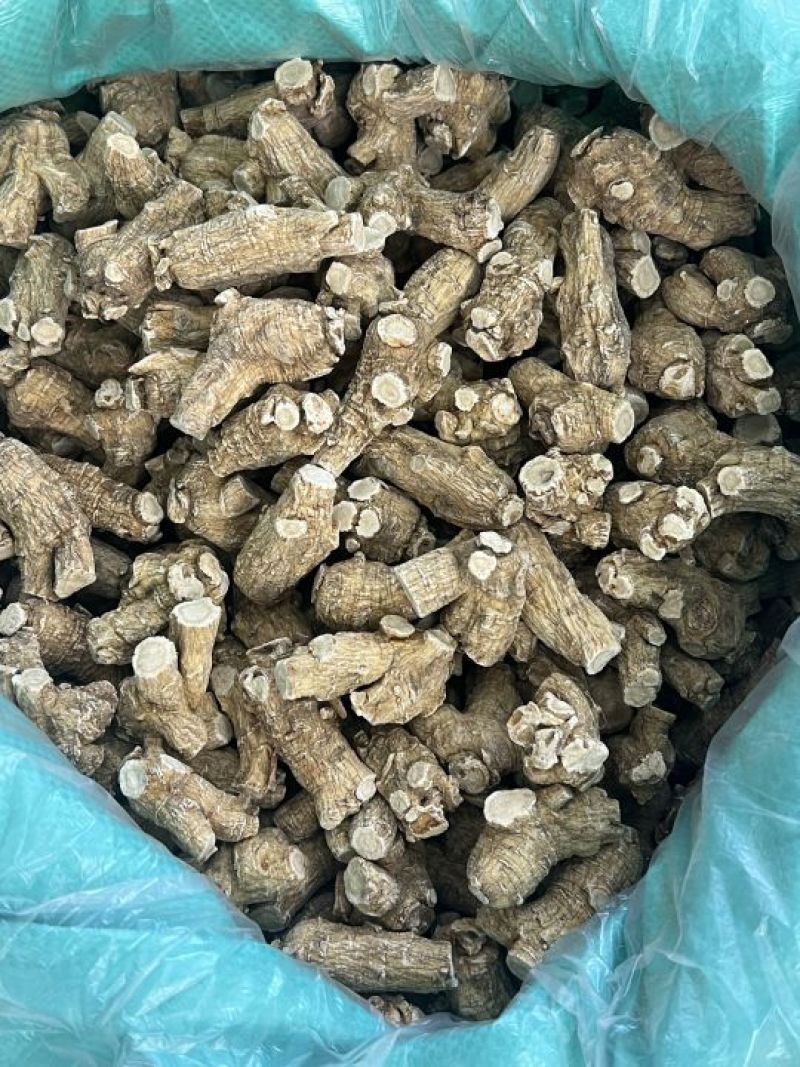 仿美种加拿大西洋参，圆粒，广州实体批发规格价格请看详情