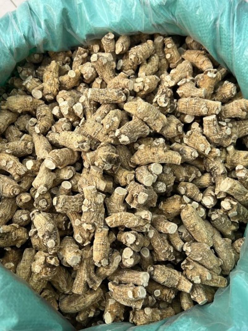 仿美种加拿大西洋参，圆粒，广州实体批发规格价格请看详情