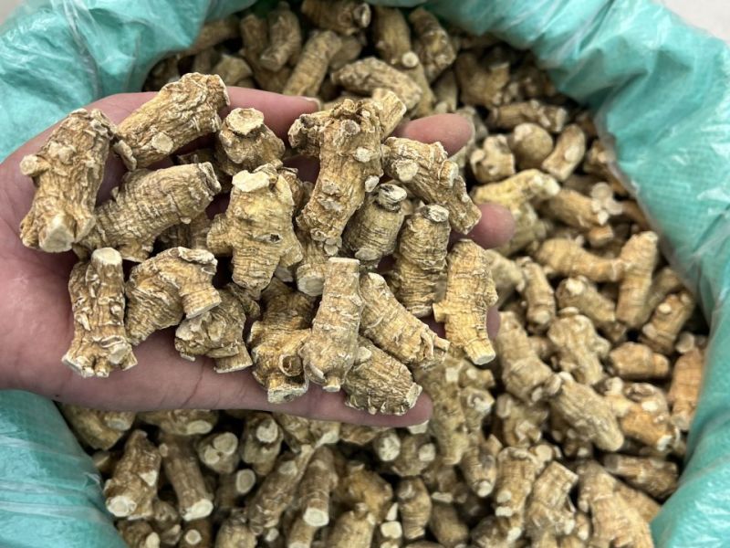 仿美种加拿大西洋参，圆粒，广州实体批发规格价格请看详情