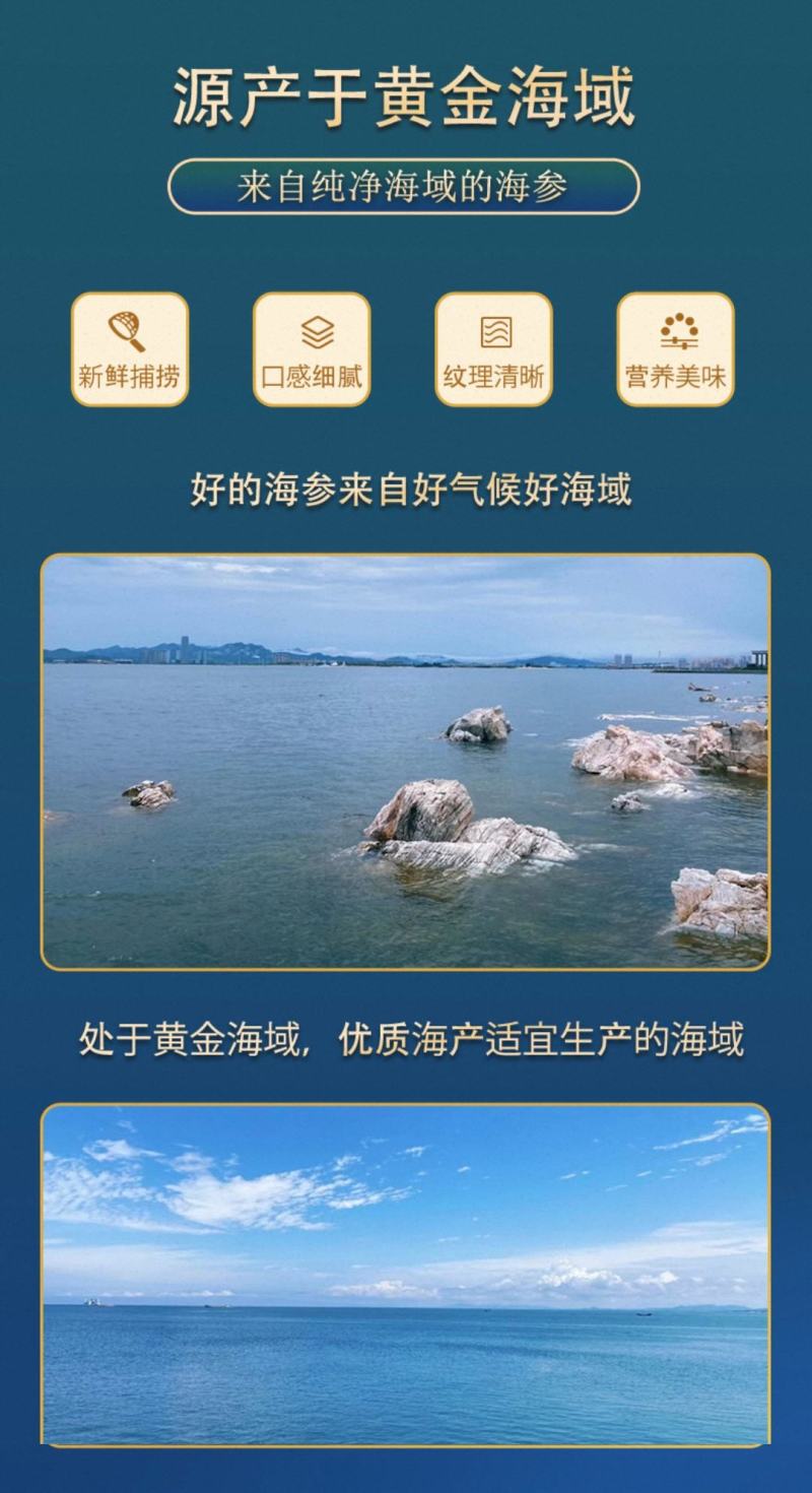 淡干海参海参干货海参礼盒批发礼品送礼一件代发