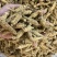 仿美种加拿大西洋参，原枞，广州实体批发规格价格请看详情页