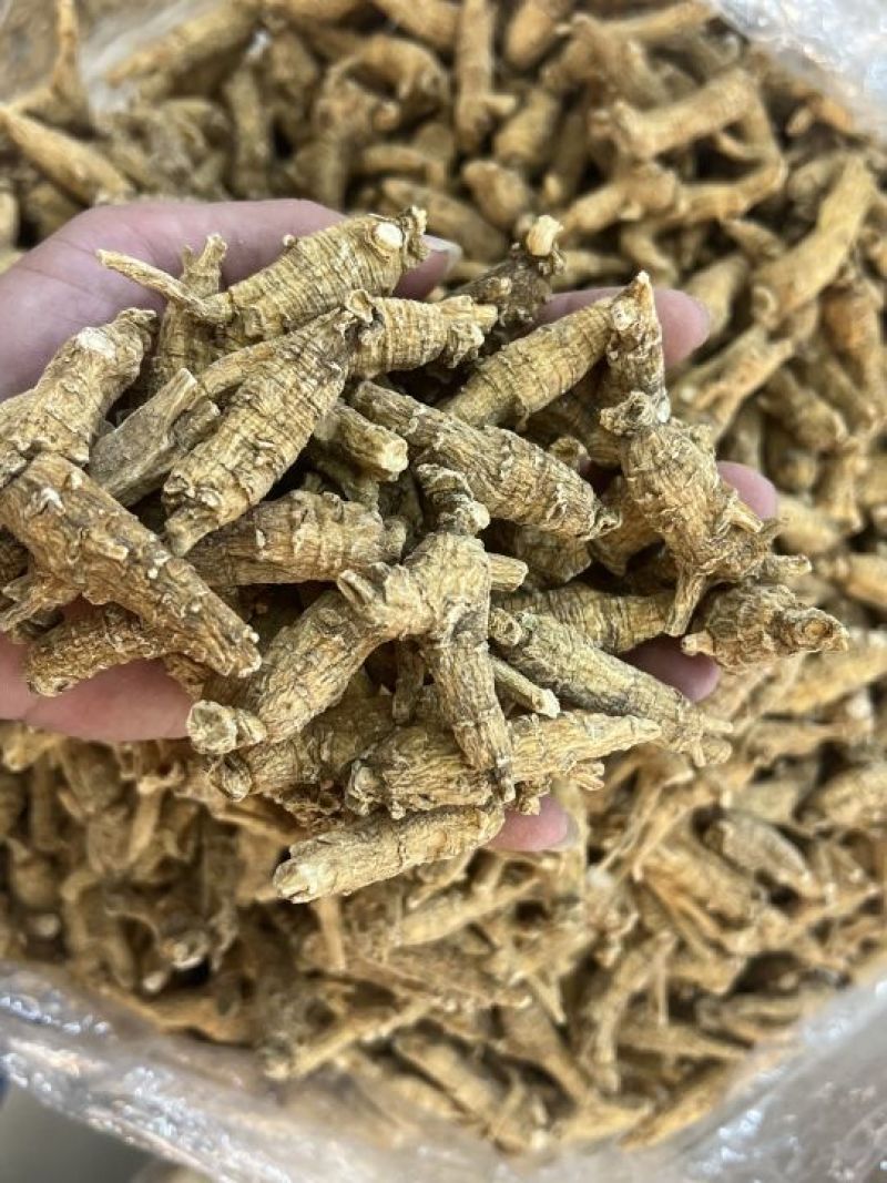仿美种加拿大西洋参，原枞，广州实体批发规格价格请看详情页