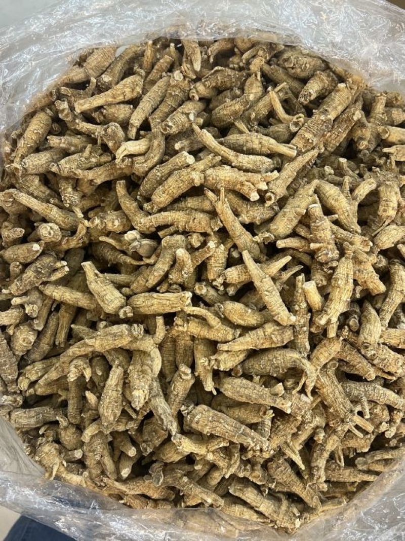 仿美种加拿大西洋参，原枞，广州实体批发规格价格请看详情页