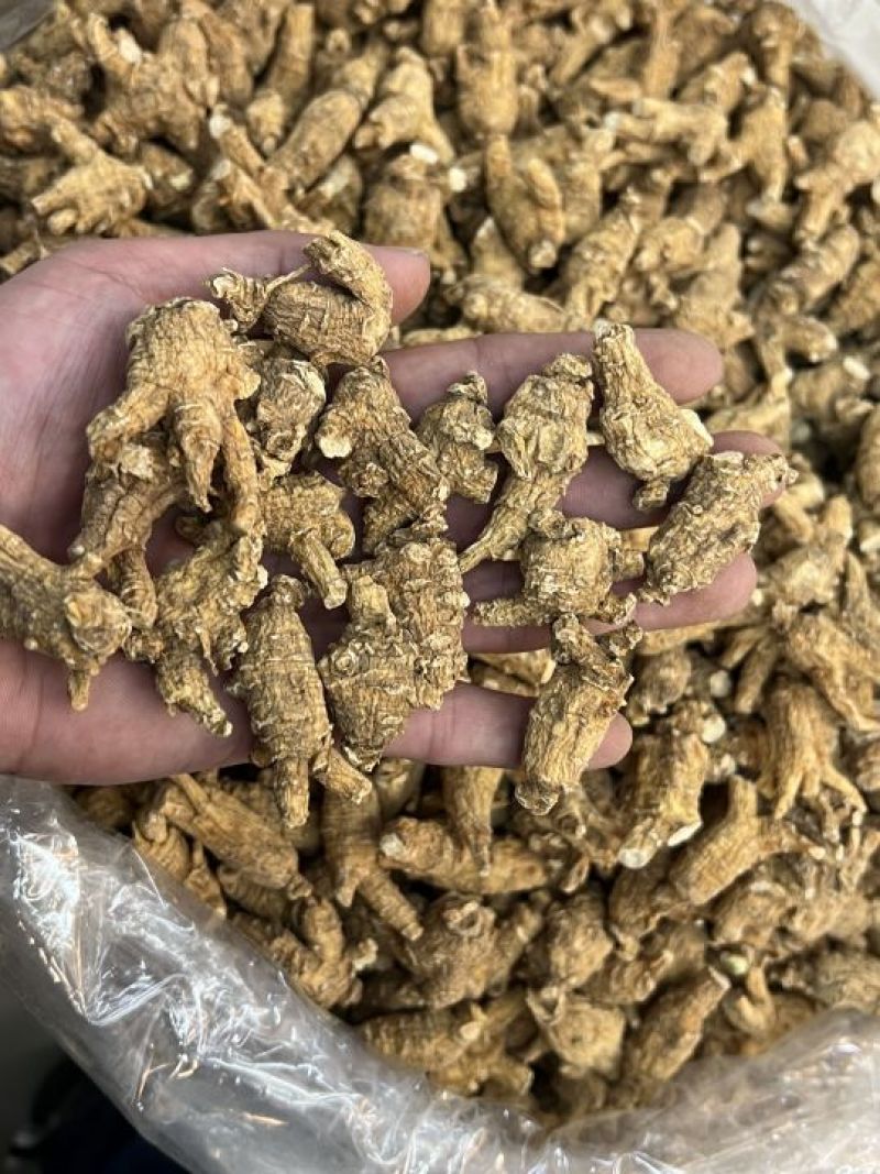 仿美种加拿大西洋参，原枞，广州实体批发规格价格请看详情页