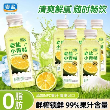 粤盐海盐小青桔汁果汁300ml饮料饮品老盐夏日补充维生素