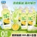 粤盐海盐小青桔汁果汁300ml饮料饮品老盐夏日补充维生素