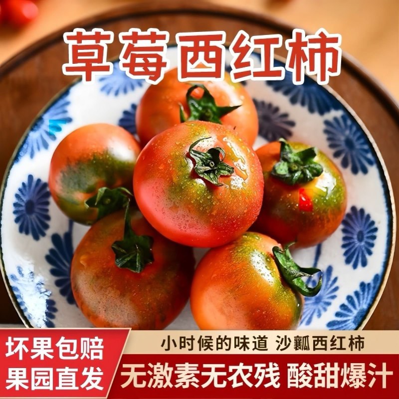 口感西红柿草莓西红柿支持一件代发整车专业打包